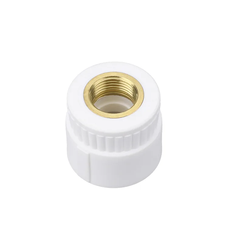 Studio shot of a white PPR male and female threaded transition socket with the brass insert seated flush in the body face