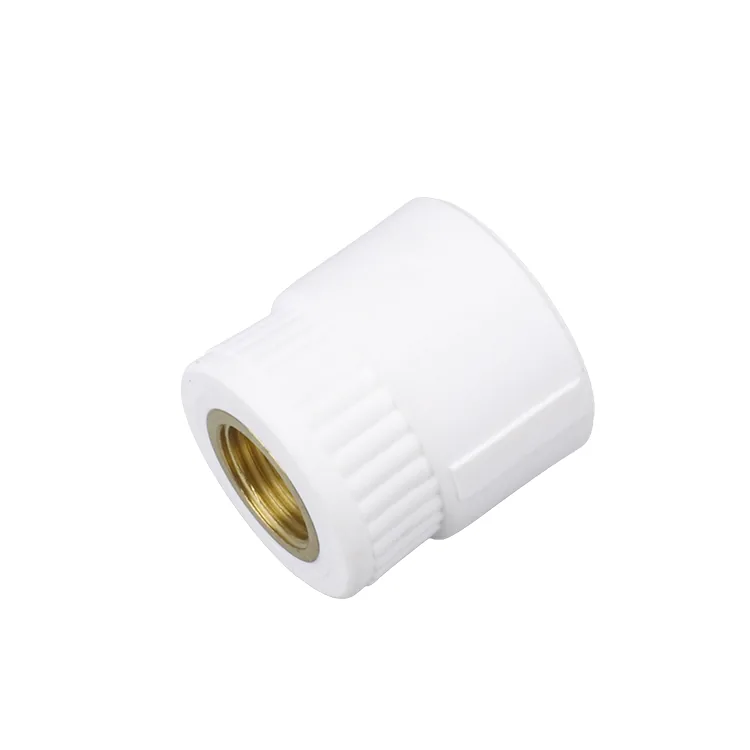 White male-to-female PPR transition fitting with a machined brass insert, shot on a white background